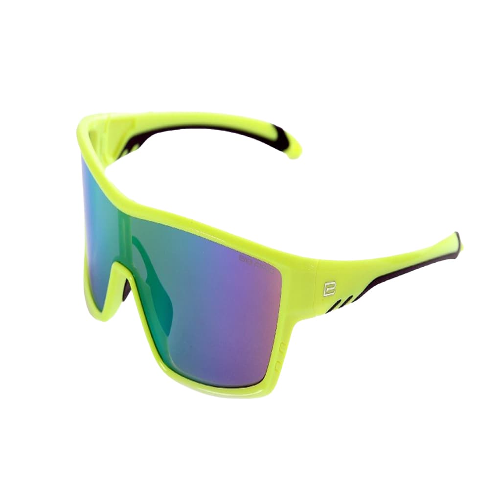 Sunglasses 2152Y134 C4