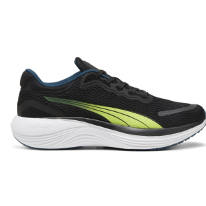Puma scend pro